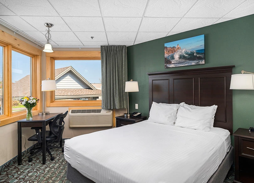 Single Queen Family Suite Single Queen Family Suite