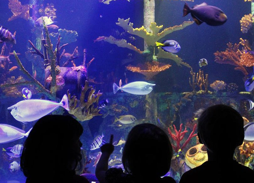 Great Lakes Aquarium Great Lakes Aquarium